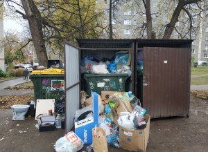 Матвиенко: ситуация с отходами за пять лет мусорной реформы только ухудшилась
