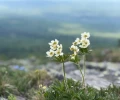 В 2026 году больше не будет длинных выходных