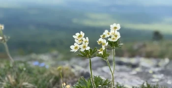 В 2026 году больше не будет длинных выходных