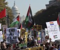 Многотысячная демонстрация в поддержку Палестины прошла в США