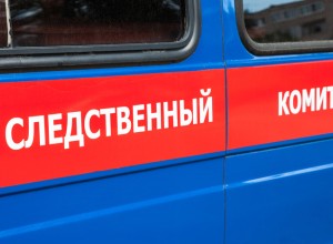 В Свердловской области задержали женщину, убившую 8-месячного сына 15 лет назад