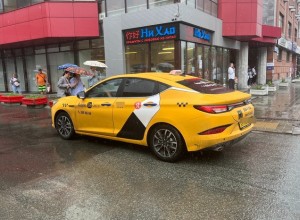 В Екатеринбурге таксисты массово отказались везти мать с младенцем