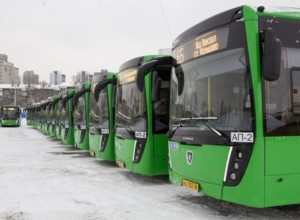 В Екатеринбурге проезд в общественном траспорте станет бесплатным