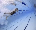 В Екатеринбурге предложили провести чемпионат по водным видам спорта
