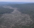 Смерч, принесший разрушения Кушве и уничтоживший более 710 га леса, являлся торнадо