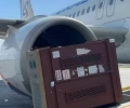 Самолет «Уральских авиалиний» прилетел в Екатеринбург с медвежатами 