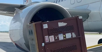 Самолет «Уральских авиалиний» прилетел в Екатеринбург с медвежатами 