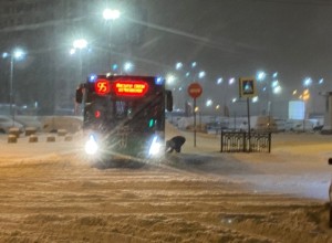 Мэрия Екатеринбурга выставила на аукцион 32 брутто-контракта