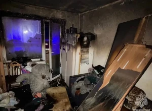 На Урале 2-летняя малышка спасла семью от пожара