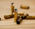 Во ФСИН рассказали, где находится убийца, застреливший двух девушек на горе Уктус