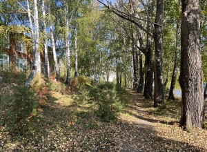 Свердловские синоптики рассказали, какой погода будет в сентябре