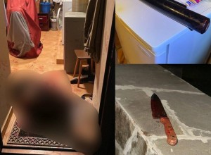 В Подмосковье 16-летний подросток зарезал пожилую домработницу