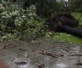 Посетителям Шарташского лесопарка сделали важное предупреждение