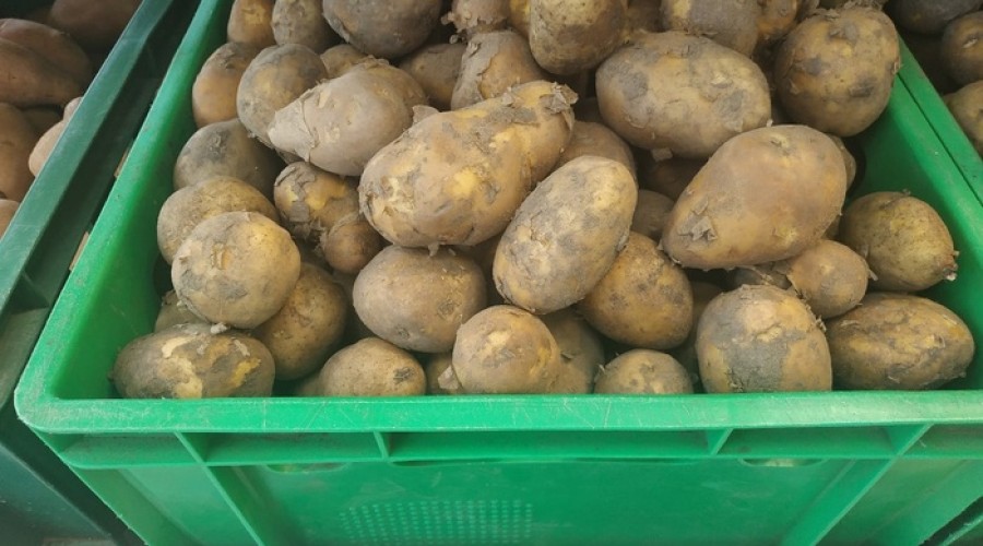 В Петербурге мужчина купил в супермаркете продукты по цене картофелины