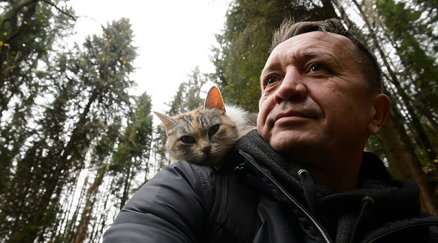 В Екатеринбурге рискует закрыться известный приют для кошек