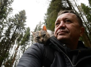 Учёный опроверг мнение о том, что лысые кошки не вызывают аллергию